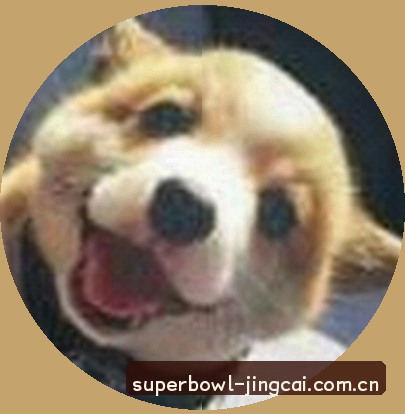 赵敏